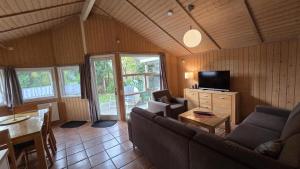 a living room with a couch and a tv at Ferienhaus Eichhörnchenhöhle in Haren