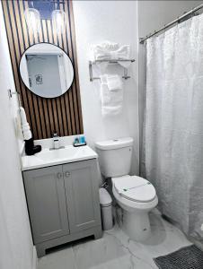 a bathroom with a toilet and a sink and a mirror at Romantic Suite in Tampa +34 photos