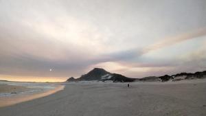 a person standing on a beach with a mountain in the background at Cocos Island in Bettyʼs Bay