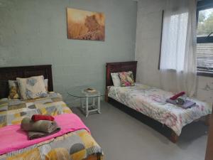 a room with two beds and a glass table at Cocos Island in Bettyʼs Bay