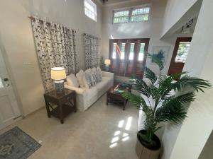 a living room with a couch and a palm tree at Jacks Place - by ZenBreak in Saint Peter