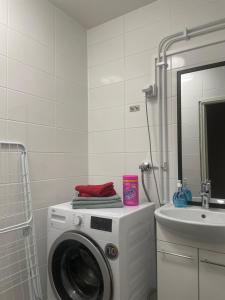 a washing machine in a bathroom next to a sink at Elf apartment in Rovaniemi