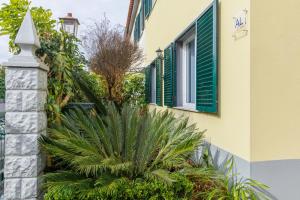 a building with green shuttered windows and a plant at Santana Lens & Trail House in Santana