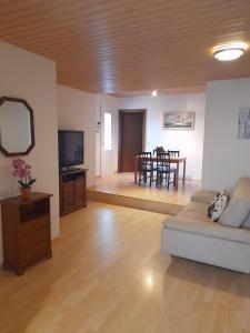 a living room with a couch and a tv and a table at Grandhouse center of Switzerland in Olten