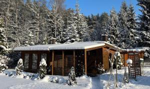 a log cabin in the snow with snow covered trees at Sauna2relax in Šveicarija