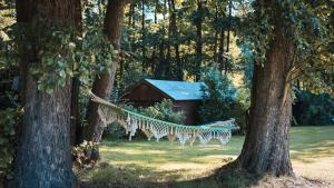 a group of zebras hanging on a hammock between two trees at Kauperhaus in Burg +29 photos
