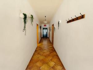 a hallway with white walls and plants on the walls at Markádia in Alvito