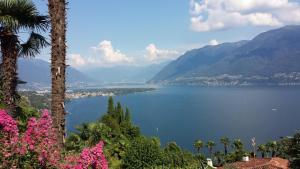 Blick auf einen See mit Palmen und Bergen in der Unterkunft Brilago 4 in Brissago