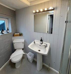 a bathroom with a toilet and a sink and a mirror at The Pear Tree in Hook Norton