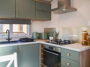 a kitchen with green cabinets and a stove top oven at Waterfoot Lodge W09 in Amotherby +13 photos
