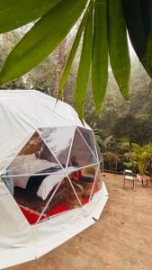 a white tent is sitting under a tree at Laalsa Retreat in Darjeeling