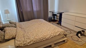 a bedroom with a bed and a cat sitting on the floor at Chambre Cosy Lausanne in Lausanne