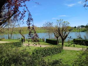 a group of birds sitting on the grass near a lake at pilotis du lac avec SPA privatif in Rabastens