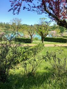 a field of grass with trees in the background at pilotis du lac avec SPA privatif in Rabastens