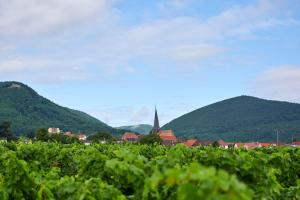 a vineyard with a town and mountains in the background at Weingut Stefan Meyer in Rhodt unter Rietburg