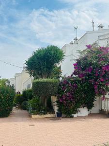 a group of plants and flowers in front of a building at Laguna 88 in La Mata