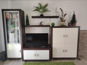 a entertainment center with a flat screen tv in a living room at Apartment 28 in Stadthagen