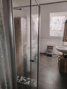 a shower with a glass door in a bathroom at Apartment 28 in Stadthagen +28 photos