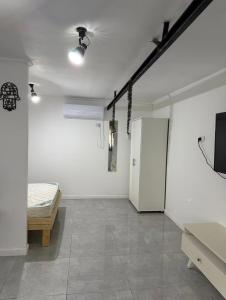 a room with a room with a bed and a tv at חמדת השקד in Mishmār Hāyardin +6 photos