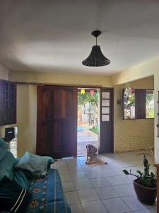 a dog sitting in the middle of a living room at Casa para Carnaval in Olinda +30 photos