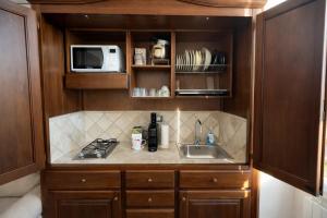 a kitchen with a sink and a microwave at Casa Danilo Sanremo Centro - a 100m dalla Spiaggia in Sanremo