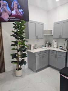 a kitchen with a potted plant and a tv at Romantic Suite in Tampa