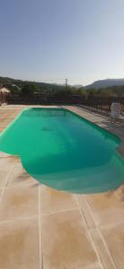 a large green swimming pool in a patio at Les Eucalyptus in Vesseaux