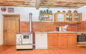 a kitchen with appliances and a brick wall at Charmantes Ferienhaus in Schwendt +8 photos