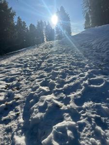 a snow covered road with the sun in the background at Hotel Panorama in Cavalese