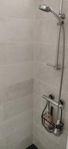 a shower with a shower head in a bathroom at Carpe Diem in Saint-Savin +20 photos