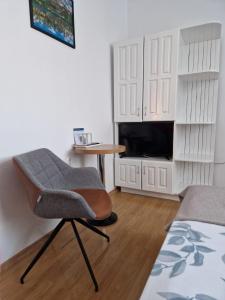 a bedroom with a chair and a table and a television at Erdős Panzió in Ditrău +34 photos