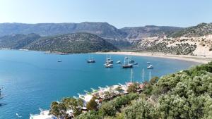 a group of boats are docked in a bay at YourTourKey Gulet Accommodation in Güvercin Adası