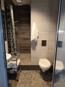 a bathroom with a toilet and a sink and a shower at Red Doors Apartament 23 Free Parking in Riga