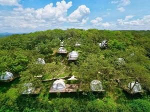 an overhead view of a group of tents in a forest at Tropical eglamping in Tân Phú