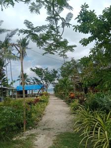 a path through a garden with the ocean in the background at Bamboo Basecamp in El Nido