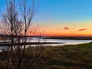a sunset over a body of water with a tree at Brún in Laugaras