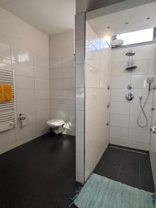a bathroom with a shower and a toilet at Zweizimmer-Häuschen im Schwarzwald in Schopfheim