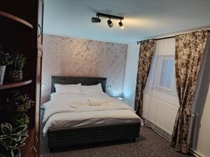 a bedroom with a bed in a room with a window at Casa Aida in Peşteana