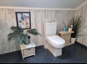 a bathroom with a toilet and a plant in it at Loftsleilighet in Vennesla +17 photos