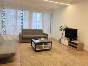 a living room with a couch and a tv at Palm Beach Loft Bissone in Bissone