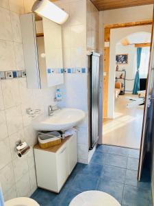 a bathroom with a sink and a toilet and a shower at Chalet Alpine in Kandersteg +87 photos