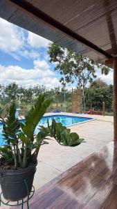 a potted plant sitting next to a swimming pool at Refúgio das Araras in Pirenópolis