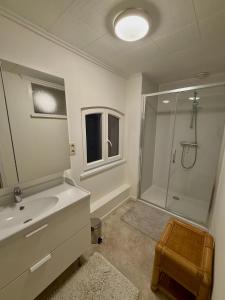 un bagno con doccia, lavandino e specchio di Logies Het Koetshuis a Herentals