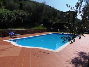 a swimming pool with a chair in a yard at Casa Pagani in Brenzone sul Garda