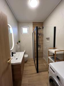 a bathroom with a toilet and a sink and a shower at Holiday Home Marković in Bibinje