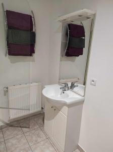 a white bathroom with a sink and a mirror at Maison en sortie d'autoroute A31 in Rolampont +14 photos