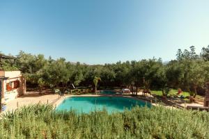a swimming pool in a resort with trees at Dar Arraha Ouirgane in Ouirgane