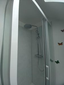 a bathroom with a shower with a glass door at La maison de Yo in La Feuillée +9 photos