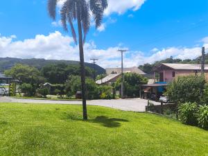 a palm tree in the middle of a field of grass at La Casa de Gramado in Gramado