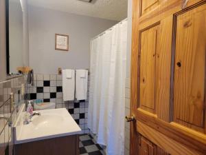 a bathroom with a sink and a shower curtain at Mountain Rose- Hot Tub, Pool Table, Firepit in Stanton +27 photos